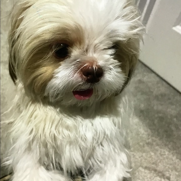 Meet your Posher, Jen - Picture 9 of 11